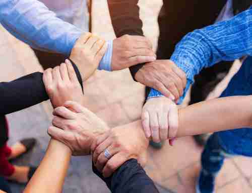 成为至成国际的一份子