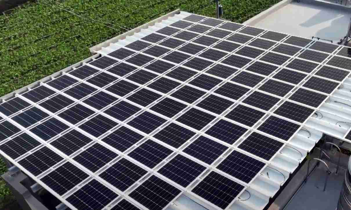 至成国际SunSteel光电浪板升级双玻结构，，以提升机械负载强度及气候耐候度，，可广泛运用于多元场域